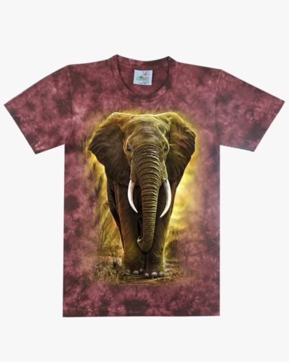 Kids Tie Dye Elephants